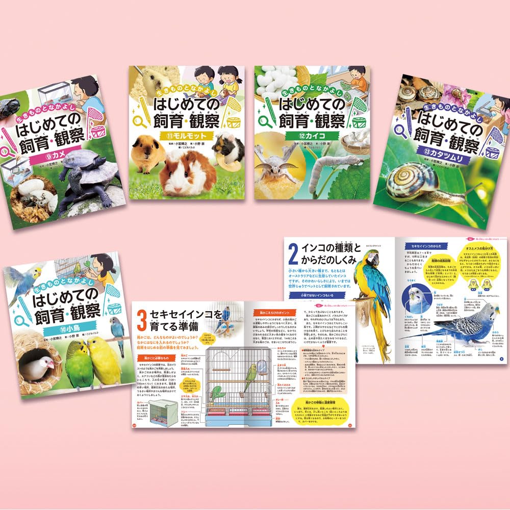Amazon.co.jp: 生きものとなかよし はじめての飼育・観察 第2期（全5